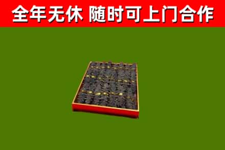 博兴县回收海参